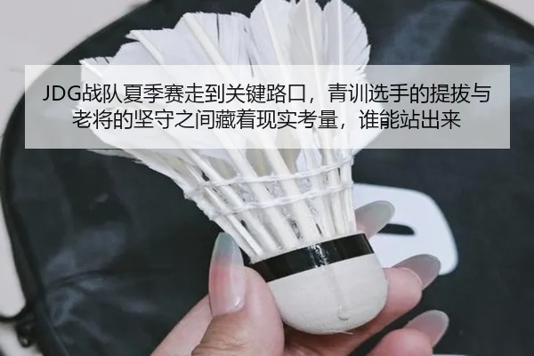 JDG战队夏季赛走到关键路口，青训选手的提拔与老将的坚守之间藏着现实考量，谁能站出来